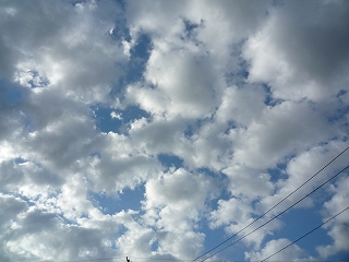 c0189218_7344397.jpg