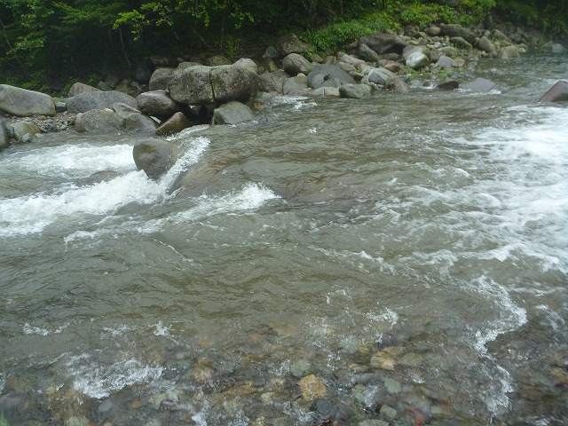 d0227723_20574264.jpg