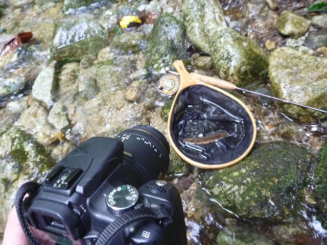 d0227723_20581482.jpg
