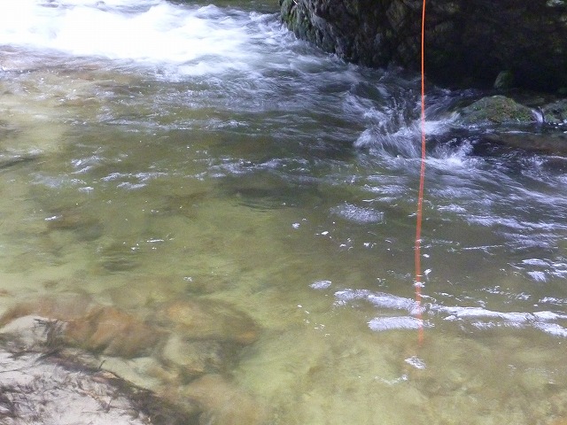 d0227723_20584230.jpg