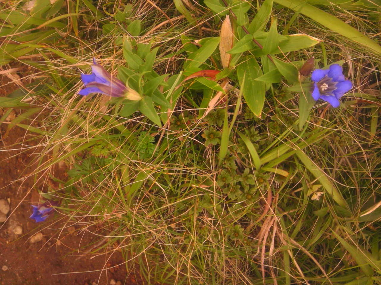 a0220528_2332868.jpg