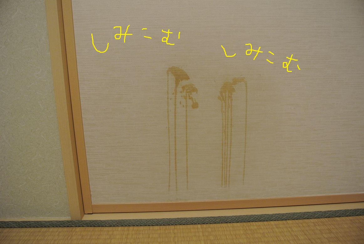 a0099131_18564777.jpg
