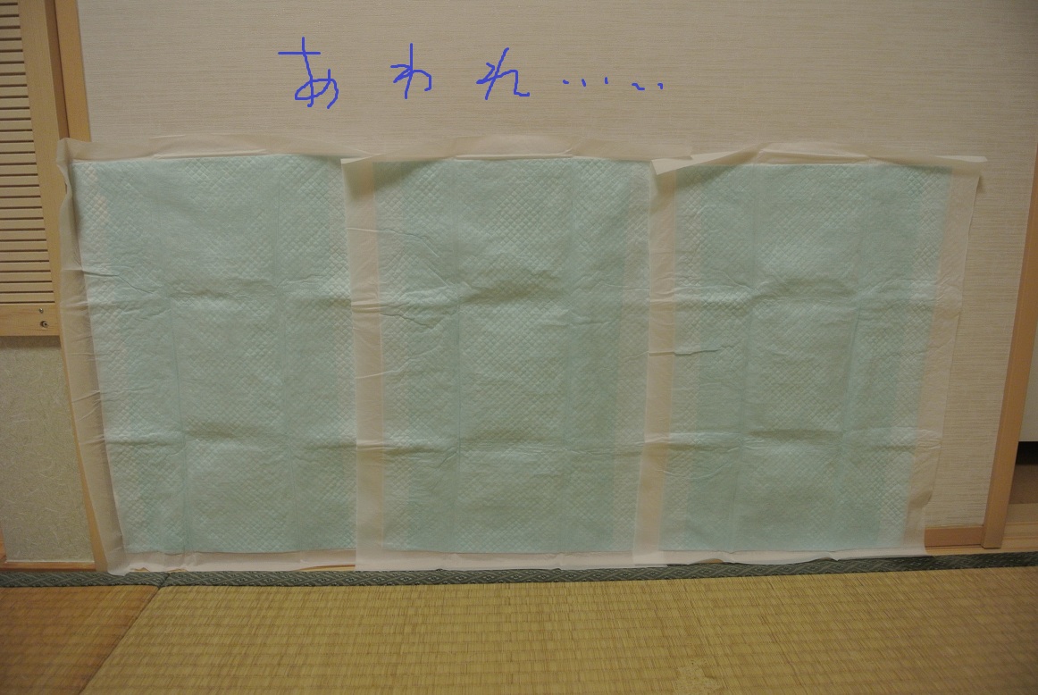 a0099131_1857055.jpg