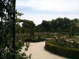 e0120938_1750299.jpg