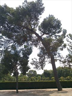 e0120938_17513160.jpg