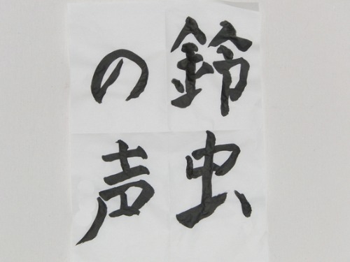 今日の書道_e0222340_1738483.jpg