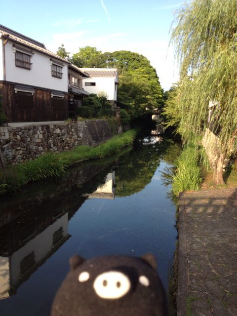 自転車こいで近江八幡をぶらっとしてきました！_f0029541_16434273.jpg