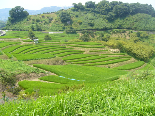 c0292342_8384177.jpg