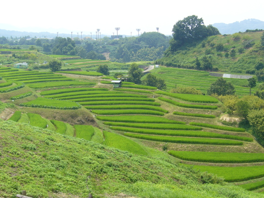 c0292342_8543237.jpg
