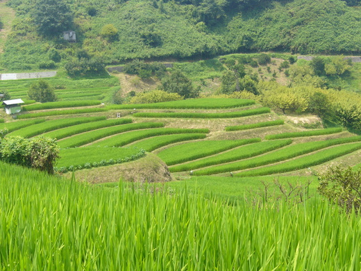 c0292342_8545237.jpg