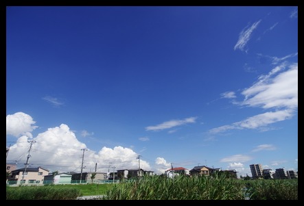 東京の空１_d0185744_750443.jpg