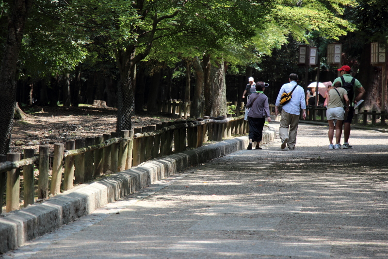 奈良公園　大仏前交差点_c0272958_220373.jpg