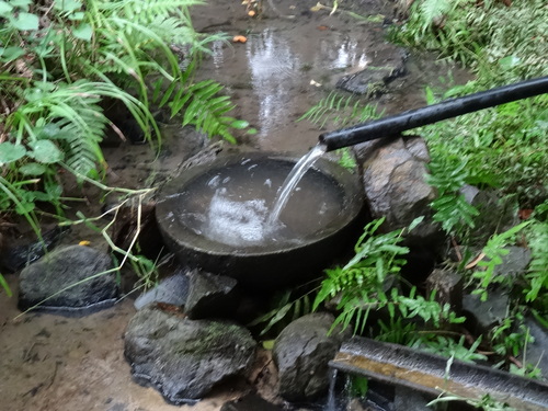 c0108460_23593124.jpg