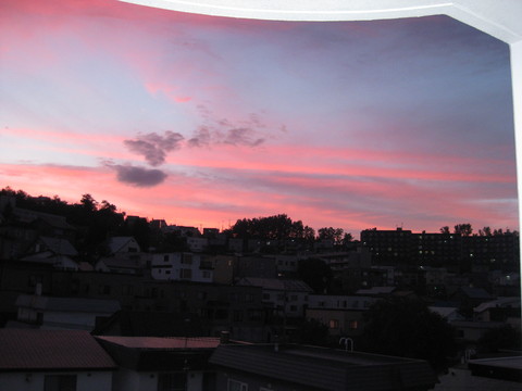 f0098562_20153998.jpg