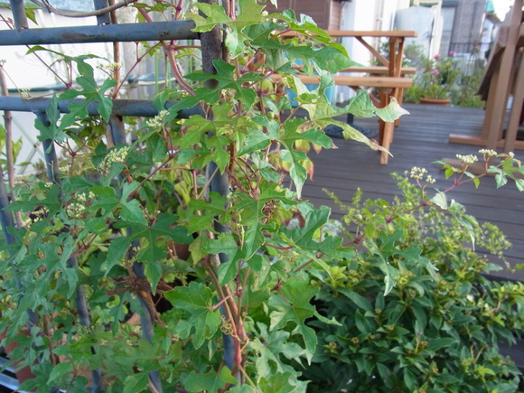 b0194267_2247672.jpg