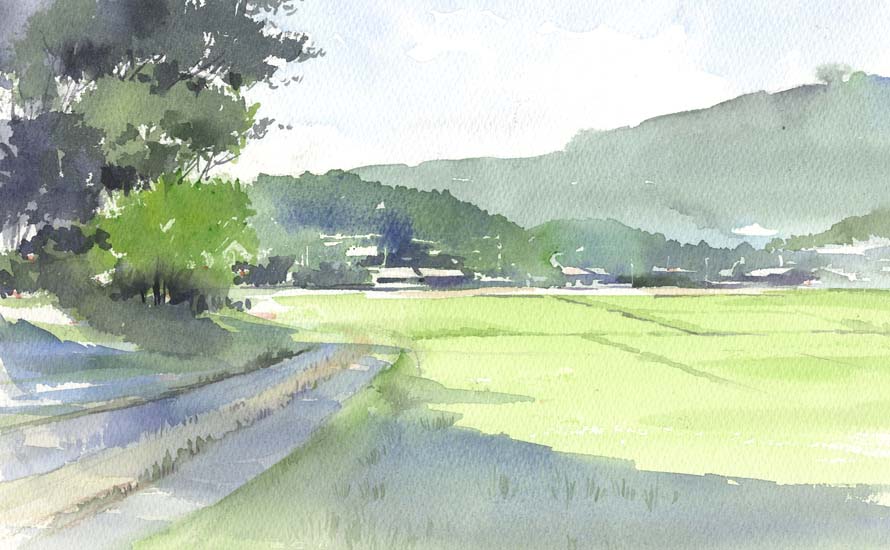 色々_f0176370_15271393.jpg
