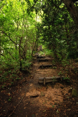 ２０１３年９月６日　下蒜山　～台風の大雨後の登山～_f0206270_20285866.jpg