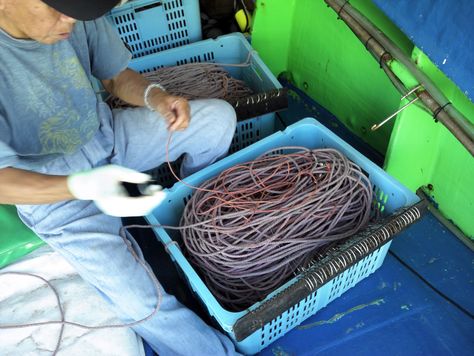 アラ縄– 日伸産業 株式会社