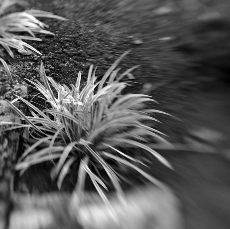 c0229384_23194910.jpg