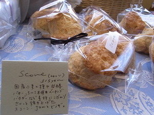 新着情報_d0322493_1815254.jpg