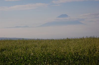 d0153294_16234327.jpg