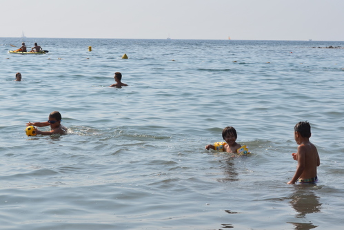 d0196594_189584.jpg