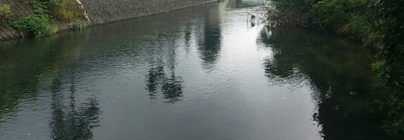 f0266202_20171130.jpg