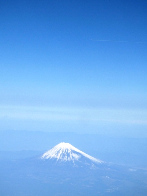 c0062603_536546.jpg