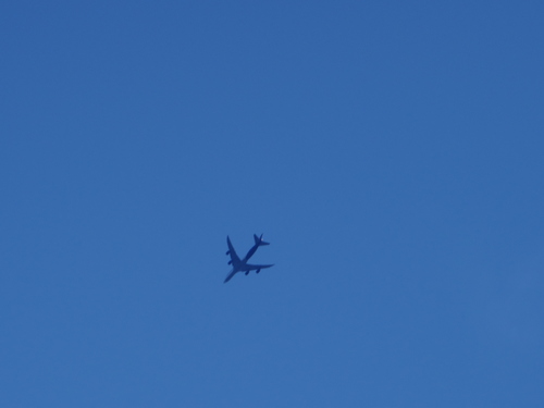 e0123104_8561371.jpg