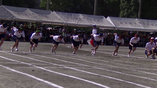 f0164104_1754234.jpg