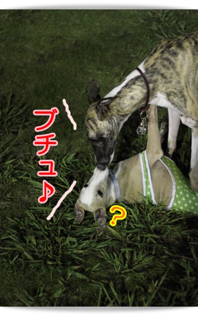 e0100007_13433359.jpg