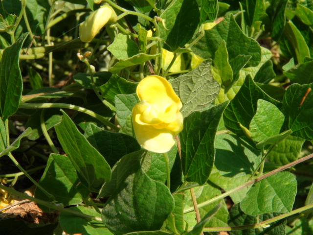 f0231709_01254.jpg