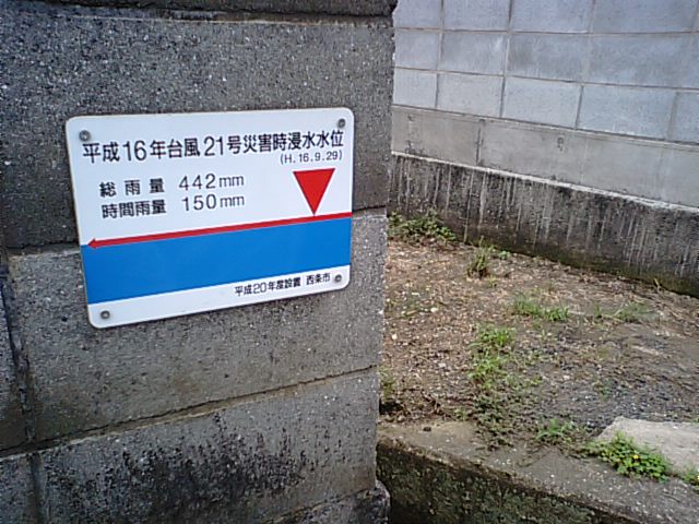 f0231709_18183821.jpg
