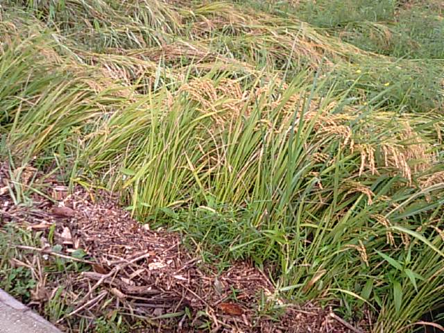 f0231709_18204187.jpg