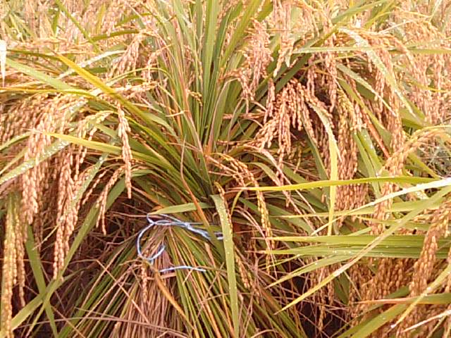f0231709_183247.jpg