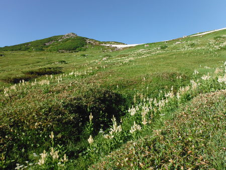 d0264710_1657456.jpg