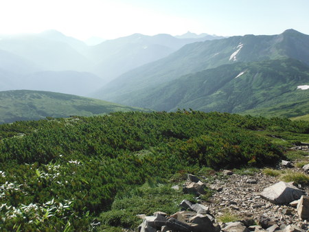 d0264710_16574865.jpg