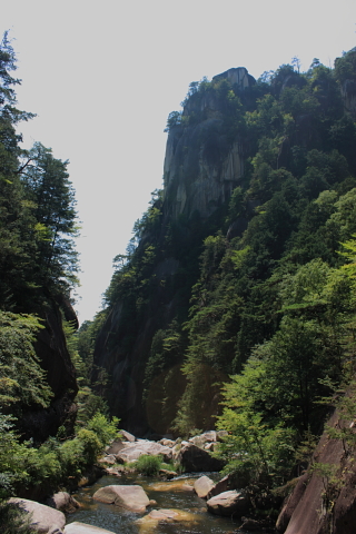d0077811_1494493.jpg