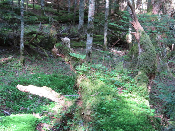 b0093515_2346230.jpg