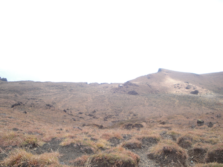 b0291016_858412.jpg