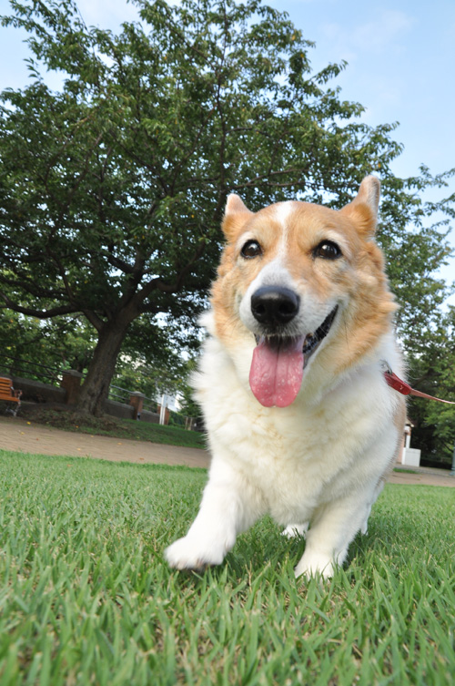 元気にしています_d0102523_056888.jpg