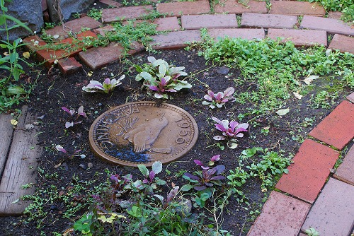 f0170524_1444192.jpg