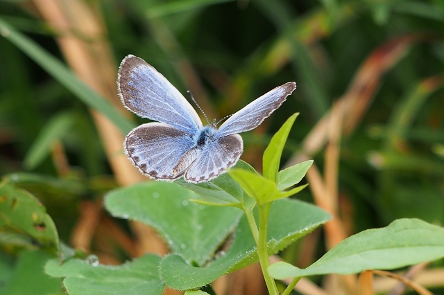 f0214527_1024397.jpg