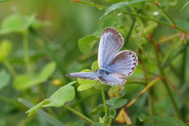 f0214527_10251813.jpg