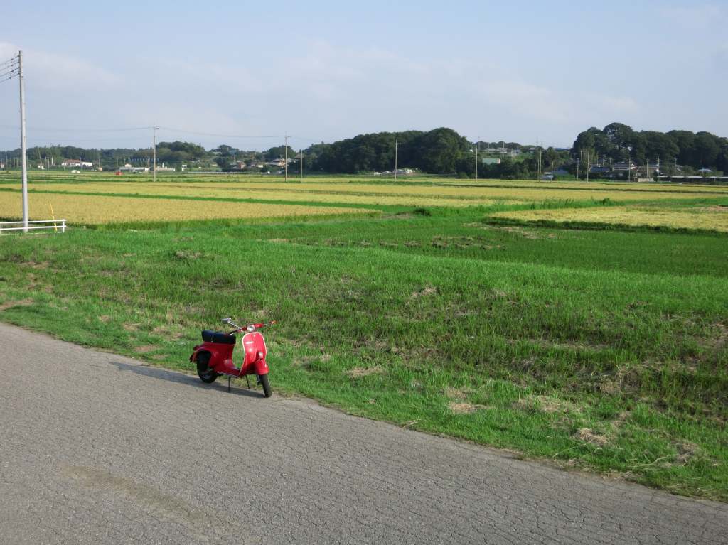 f0225627_216511.jpg