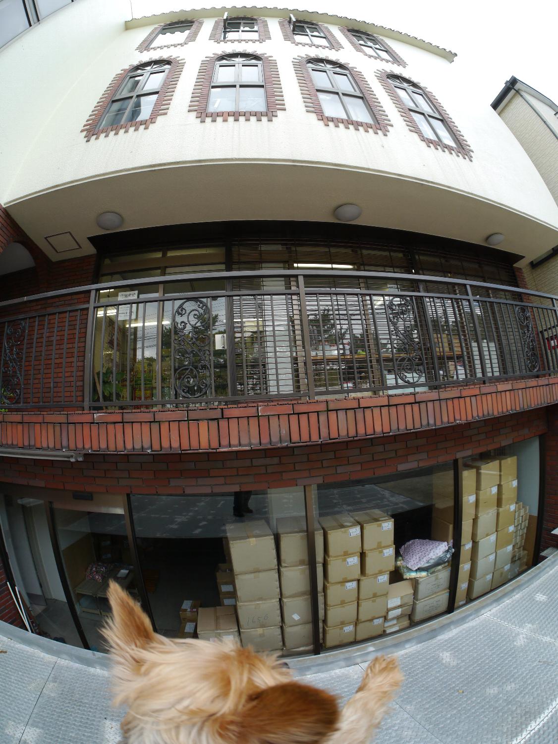 b0069128_8181360.jpg