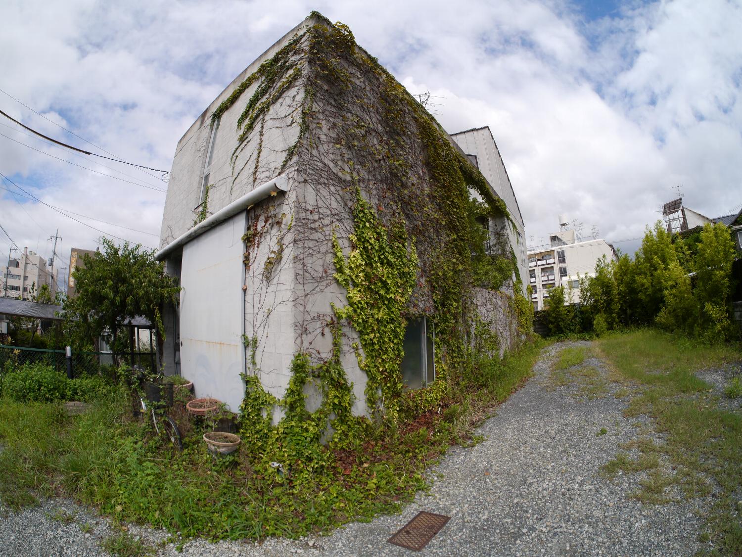 b0069128_8503797.jpg
