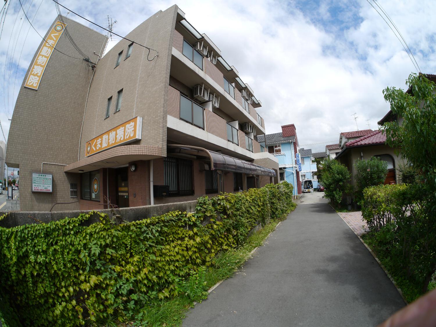 b0069128_859519.jpg