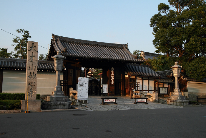妙心寺東林院 －梵燈のあかりに親しむ会（前編）－_b0169330_0445667.jpg