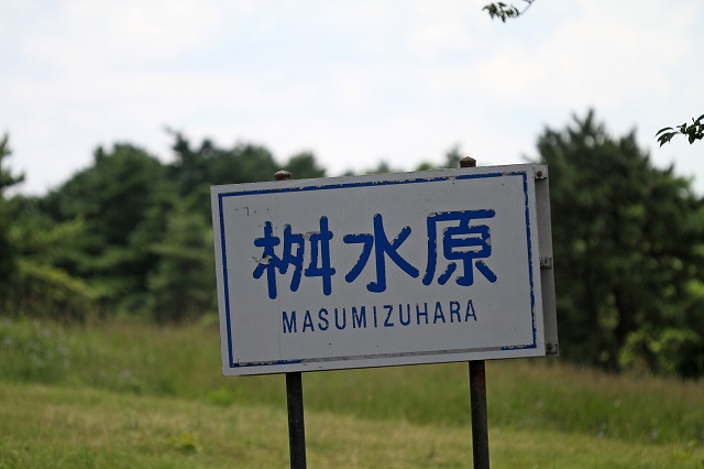 a0242438_1511239.jpg
